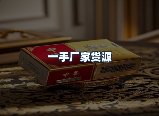 专业团队办公环境